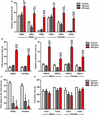 Prenatal Exposure to Paint Thinner Alters Postnatal Development and Behavior in Mice